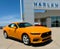 2026 Ford Mustang EcoBoost Fastback